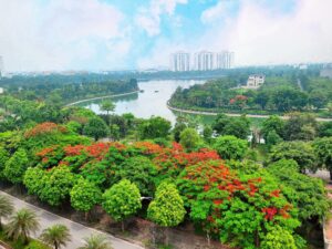 review sống ở thanh hà