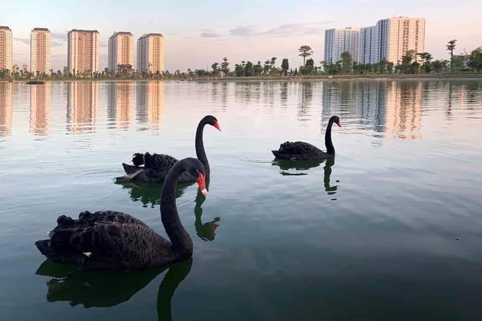 bán chung cư thanh hà full nội thất