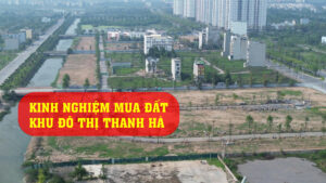 mua đất thanh hà lần đầu