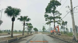 triển khai làm đường 25m a1