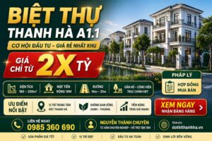 bán biệt thự thanh hà a1.1 giá rẻ