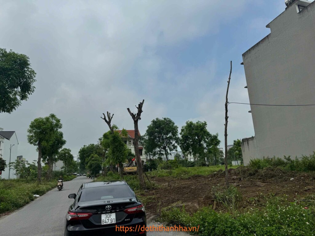 dọn dẹp mặt bằng b1.4