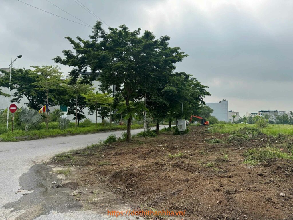 dọn dẹp mặt bằng b1.4