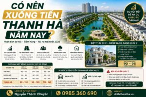 có nên xuống tiền thanh hà năm nay