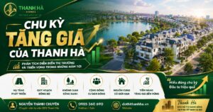 chu kỳ tăng giá của thanh hà
